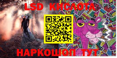 крисы Новодвинск