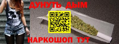крисы Новодвинск