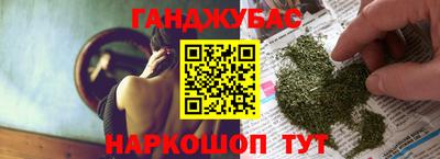 крисы Новодвинск