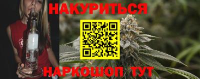 крисы Новодвинск
