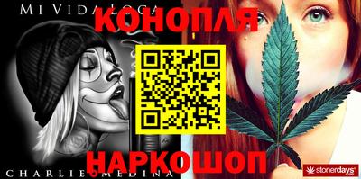 крисы Новодвинск