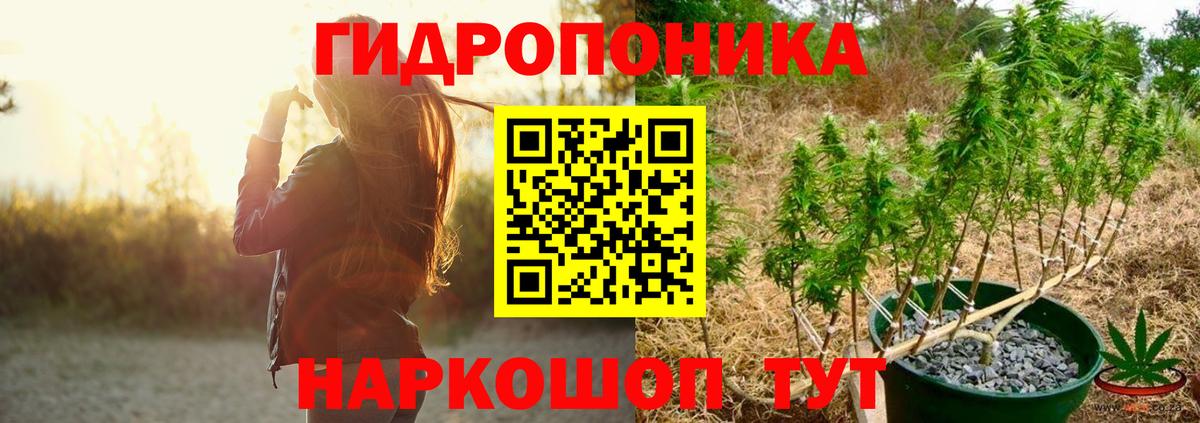МАРИХУАНА семена Салехард